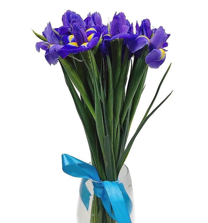 Купить цветы в интернет магазине ирисы доставка цветов в москве с бесплатной доставкой