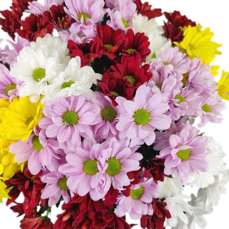 Ромашки микс