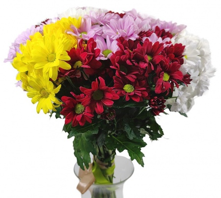 Ромашки микс