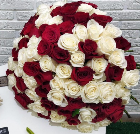 Букет из 101 красной и белой розы Букет из 101 красной и белой розы