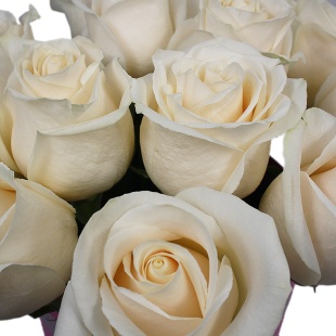 Белые розы в розовой шляпной коробке