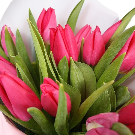 Букет "15 розовых тюльпанов в крафте" Букет "15 розовых тюльпанов в крафте"