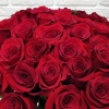 Букет из 51 красной розы Букет из 51 красной розы