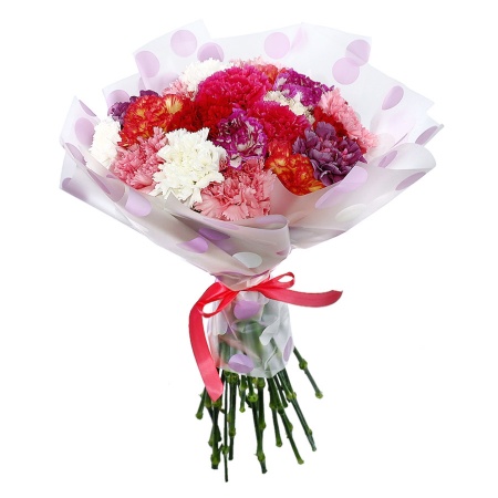 Букет "17 гвоздик микс в корейской упаковке" Букет "17 гвоздик микс в корейской упаковке"
