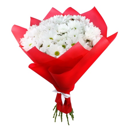 Букет "15 ромашек в корейской упаковке"