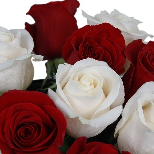Красно-белые розы в черной шляпной коробке