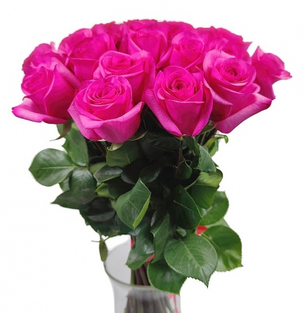 Розы розовые