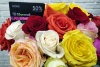 Розы разноцветные микс Розы разноцветные микс