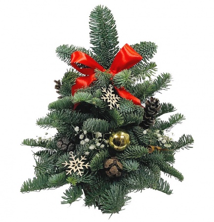 Елка из Нобилиса "2022"