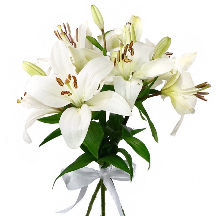 Букет "3 белые лилии"
