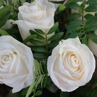 Букет "9 белых роз с зеленью"