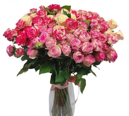 Розы кустовые