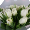 Букет "15 белых тюльпанов в крафте"