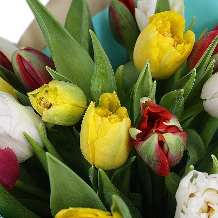 Букет "15 тюльпанов Микс в крафте"