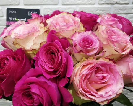 Букет из 25 розовых роз