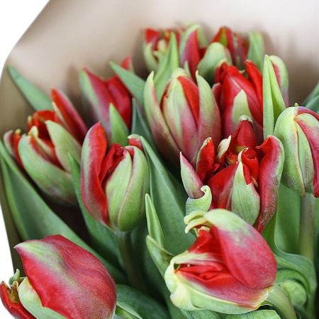 Букет"15 красных тюльпанов в крафте"