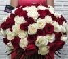 Букет из 101 красной и белой розы Букет из 101 красной и белой розы