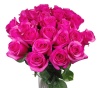 Розы розовые