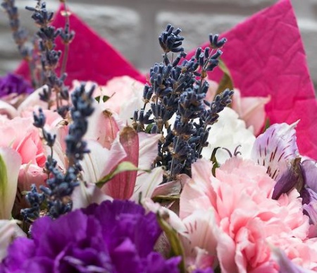 Вдохновение