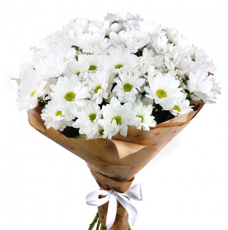 Букет"15 ромашек в крафте"