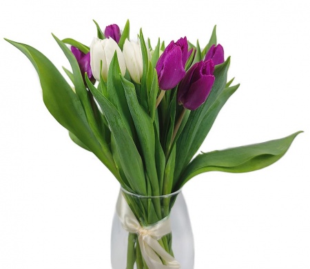 Тюльпаны микс