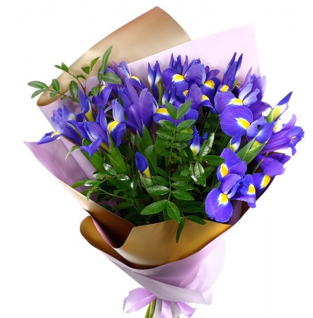 Букет "25 ирисов с зеленью в корейской упаковке"