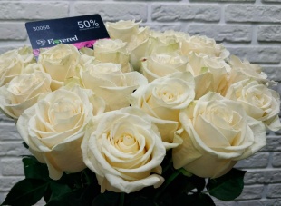 Букет из 25 белых роз