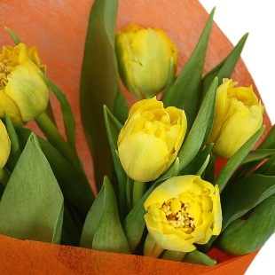 Букет "9 желтых тюльпанов в крафте"