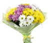 Букет "11 ромашек микс в крафте"