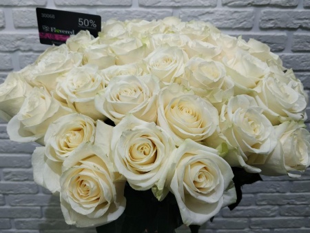 Букет из 51 белой розы