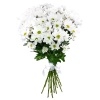 Букет "15 белых ромашек"