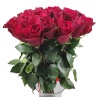 Розы красные Розы красные