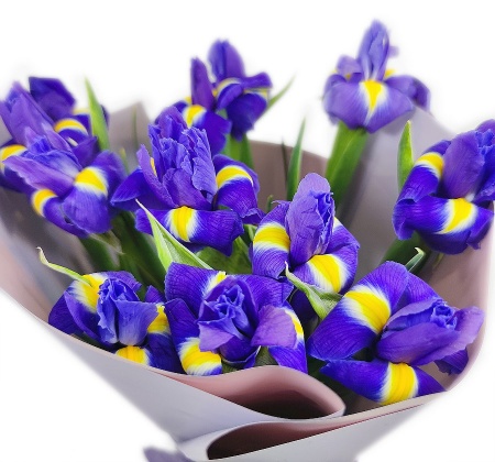 Букет "11 ирисов в крафте"