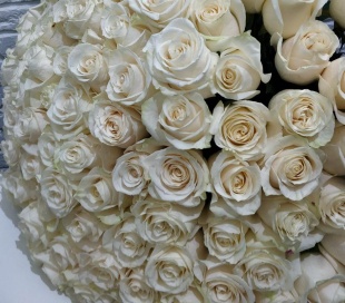 Букеты из 101 белой розы
