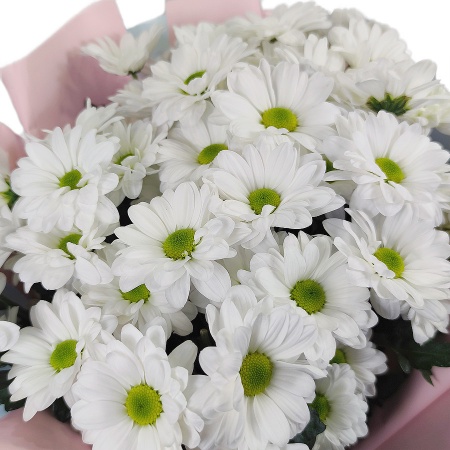 Букет "Ромашки в крафте"