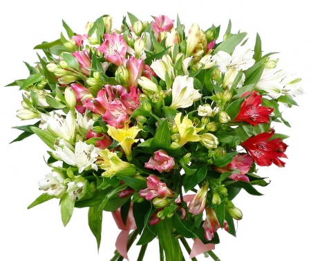 Букет "15 альстромерий" Букет "15 альстромерий"
