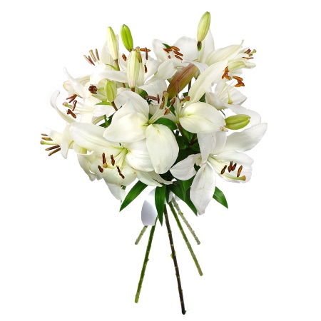 Букет "5 белых лилий"