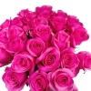 Розы розовые