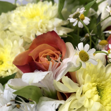 Игривое настроение